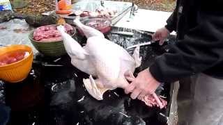 how to gut a turkey [upl. by Bremer]