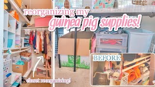 REORGANIZING MY GUINEA PIG SUPPLIES 🧹🧼🐽 [upl. by Kurys]