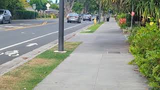 Walking on Kailua Road [upl. by Ozen161]