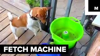 This Machine Plays Fetch With Your Dog [upl. by Trueblood]