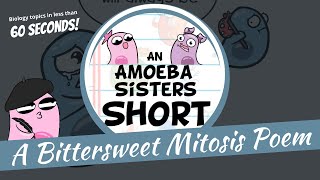 Mitosis Poem  Amoeba Sisters Shorts [upl. by Assyle]