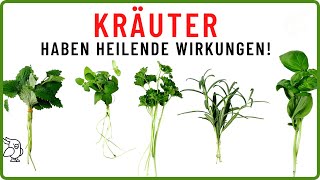 HEILKRÄUTER WIRKUNG die geheimnisvollen Superkräfte von Kräutern [upl. by Ikkin]