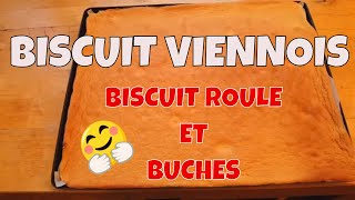 BISCUIT VIENNOIS  Génoise Roulée  IDÉAL pour les bûches et gâteaux roulés   Spicynthia [upl. by Annaoy]