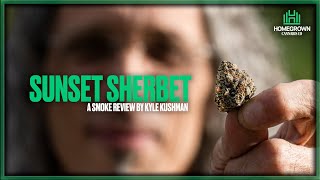 Sunset Sherbet Strain Review with Kyle Kushman [upl. by Akinorev]