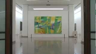 Gerhard Richter Paintings 19632007 National Art Museum of China Beijing 2008 [upl. by Gelasias]