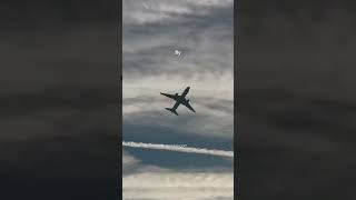 Touring to Transporting TUI 767 wing waving on passenger service retirement [upl. by Martres839]