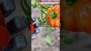 Plant biotechnology trendingshorts facts biology plants biotechnology [upl. by Galatia78]