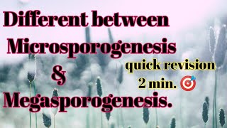 Different between Microsporogenesis and Megasporogenesis neetkipadhai TimeSaverTricks [upl. by Ayo]