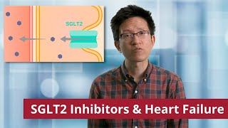 SGLT2 Inhibitors and Heart Failure [upl. by Petit]