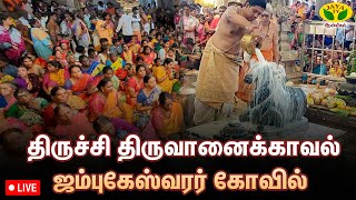 🔴 Live  பிரதோஷம்  திருவானைக்காவல் ஜம்புகேஸ்வரர் கோவில்  Trichy  JayaTv Aanmegam [upl. by Asirrom]