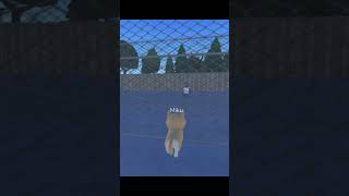 The end of game  Doge story in roblox [upl. by Cotsen185]