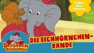 Benjamin Blümchen  Die Eichhörnchenbande  VIDEO DES MONATS SEPTEMBER [upl. by Nahte443]