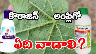 Coragin Ampligo Insectiside  Different Between Coragin And Ampligo  కోరాజిన్ అంప్లిగో [upl. by Swope]