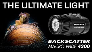 The Ultimate Dive Photo and Video Light Backscatter Macro Wide 4300 [upl. by Jarad]