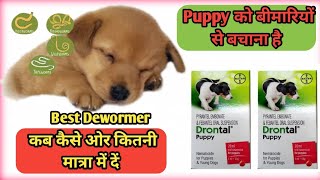 Drontal Puppy Dewormer Suspension how to use  Best Deworming Syrup for puppy [upl. by Merkley]