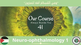 Neuro 1 Ophthalmology 41 [upl. by Cherye129]