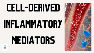 CELLDERIVED INFLAMMATORY MEDIATORS  Functions amp Roles in the Inflammatory Response [upl. by Ellesirg]