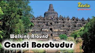 Walking Around Candi Borobudur [upl. by Phox]