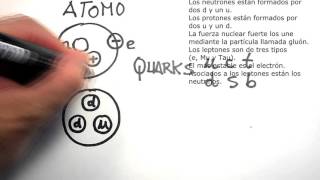 Quarks y leptones [upl. by Blinnie209]