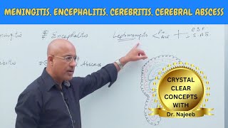 Difference Between Meningitis  Encephalitis  Cerebritis  Cerebral Abscess🩺 [upl. by Percival434]