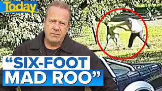 Man fights kangaroo for six minutes in Victoria  Today Show Australia [upl. by Zehc]