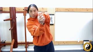 There Are 4 Basic Wrist Locks  The Wrist Is Very Easy To Break When You Know How  Kung Fu Training [upl. by Ihc]