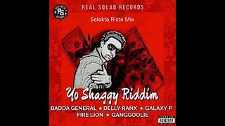 Yo Shaggy Riddim Mix Skt Risto [upl. by Derian]