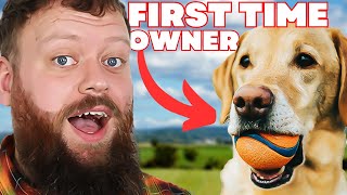 THE BEST DOG BREED FOR FIRST TIME OWNERS [upl. by Ameehs790]