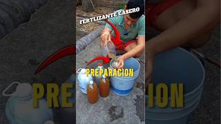 Fertilizante casero huerto jardin jardinería tips tutorial agricola us agro fertilizer [upl. by Enimaj]