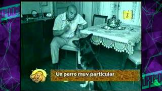 MOMENTOS DUROS  PERRO DNI  180615 [upl. by Sara-Ann]