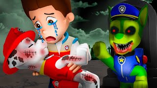 Goodbye Marshall  what happened to Marshall  Sad Story  Paw Patrol 3D Animation [upl. by Dicks]