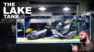 Aquascape Tutorial EPIC 4ft African Cichlid Aquarium  Lake Tanganyika How To Step By Step Guide [upl. by Elleraj315]