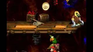 Donkey Kong Country 2  Squawks Shaft [upl. by Eisej]