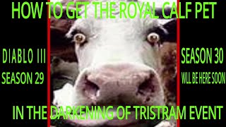 DARKENING OF TRISTRAM HOW TO GET THE ROYAL CALF SEASON 29 DIABLO III [upl. by Yeniffit]