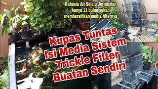 Rahasia Isi Media Trickle Filter Supaya Air Kolam Koi Jernih Bersihin Filter Hanya 11 Bulan Sekali [upl. by Savanna287]