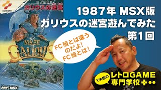 ［ゲーム実況］第1回ガリウスの迷宮を遊んでみた！MSX1レトロゲーム専門学校1987年 [upl. by Eppilihp589]