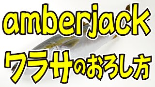 ワラサ（ブリの子供） How to prepre amberjack [upl. by Alahc]