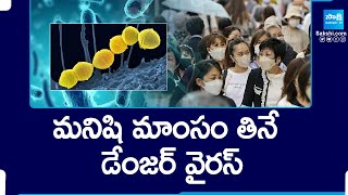 డేంజర్ వైరస్  Rare FleshEating Bacteria Spreads in Japan SakshiTV [upl. by Deryl]