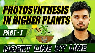 Photosynthesis in Higher Plants Part 1  Class 11 Biology  NCERT Line by Line [upl. by Screens]