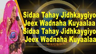 SEYNAB CIGE NACABKAY HA IIJABIN OFFICIAL MUSIC VIDEO LYRICS 2022 [upl. by Tillinger]