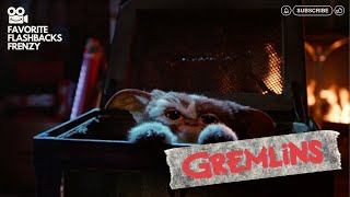 Gremlins 1984  Billy meets Gizmo for the first time [upl. by Eznyl]