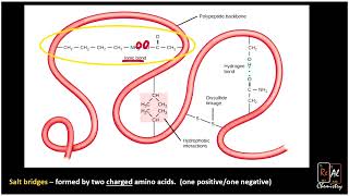 Side chain interactions and amino acids  Real Chemistry [upl. by Moor764]