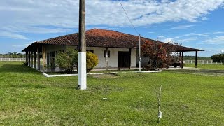 FAZENDA DE 500 HECTARES  3 RIOS CURRAL 15 KM ASFATO MUITO BARATA R 25 Milhões [upl. by Nnylyak407]