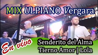 Mix con las mejores exitos de Ulpiano Vergara 2020 En Vivo Tierno Amor  Senderito de Amor y Lola [upl. by Zurc825]