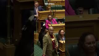 Haka Protests In New Zealand Parliament [upl. by Anaitsirc]