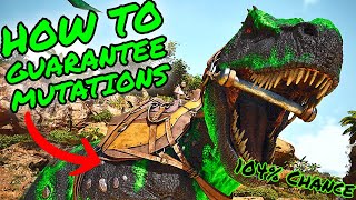 How To GUARANTEE Getting MUTATIONS in Ark Survival Ascended ASA MUTATIONBREEDING GUIDE [upl. by Anirtak]