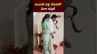 Anant AmbaniRadhika Merchant Wedding  Ram Charan and Upasana  Ntv [upl. by Guildroy]