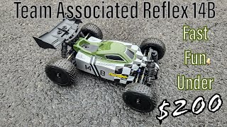 Team Associated Reflex 14B  Fun Brushless RC Under 200 [upl. by Atiuqehc]