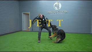 Jett the German Shepherd  Family protection Dog in training [upl. by Ennaylil]