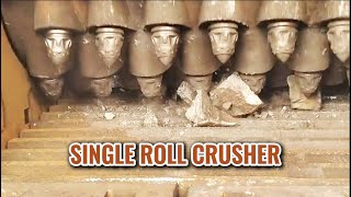 Single roll crusher in testingstonecrusher stonecrushers roller crusher [upl. by Ainniz715]